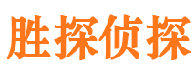 桐柏市私家侦探